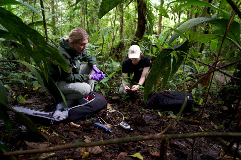 Basecamp researchers carry out genetic research in Costa Rica (Image: Basecamp Research)